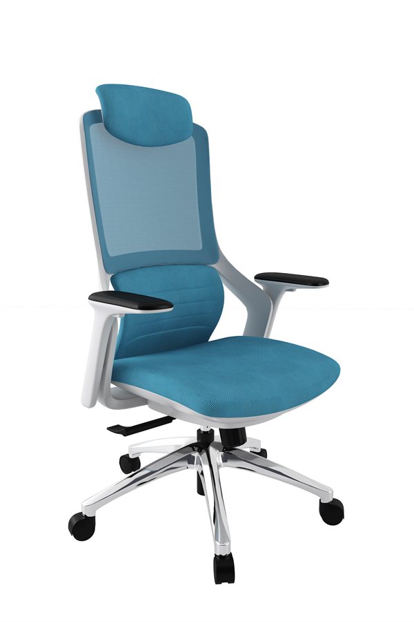 blue mesh task chair